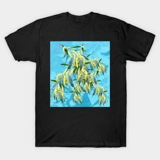 Beautiful Australian Wattle blooms against a textured blue background T-Shirt